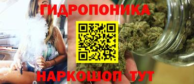 прущие грибы Белореченск
