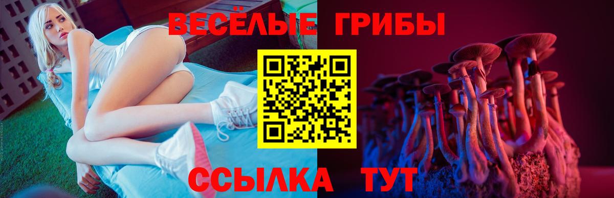 Галлюциногенные грибы Psilocybine cubensis  купить   Ачинск  Псилоцибиновые грибы ЛСД  Вход с VPN 